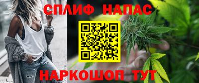 стаф Бузулук
