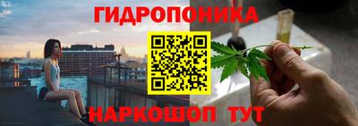 стаф Бузулук